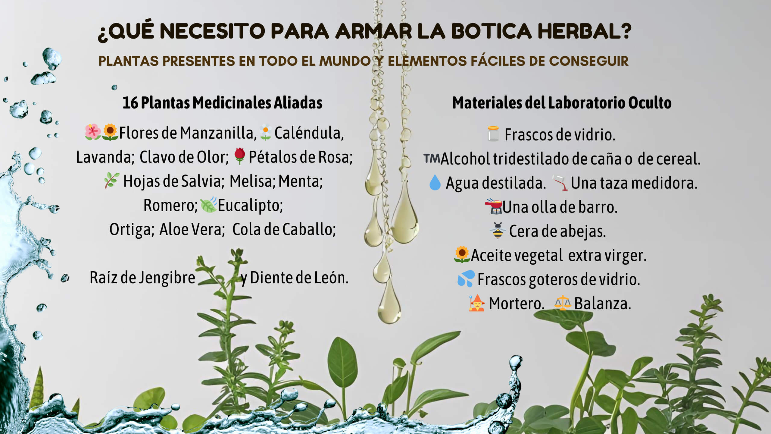 Elementos necesarios para armar la Botica Herbal.